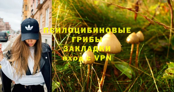 прущие крисы Краснослободск