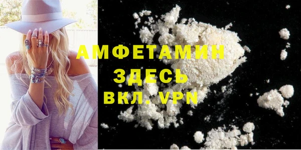 сатива Кукмор